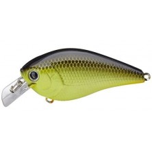Crankbaits Lucky Craft LC 1.5 – 60 mm To Chart
