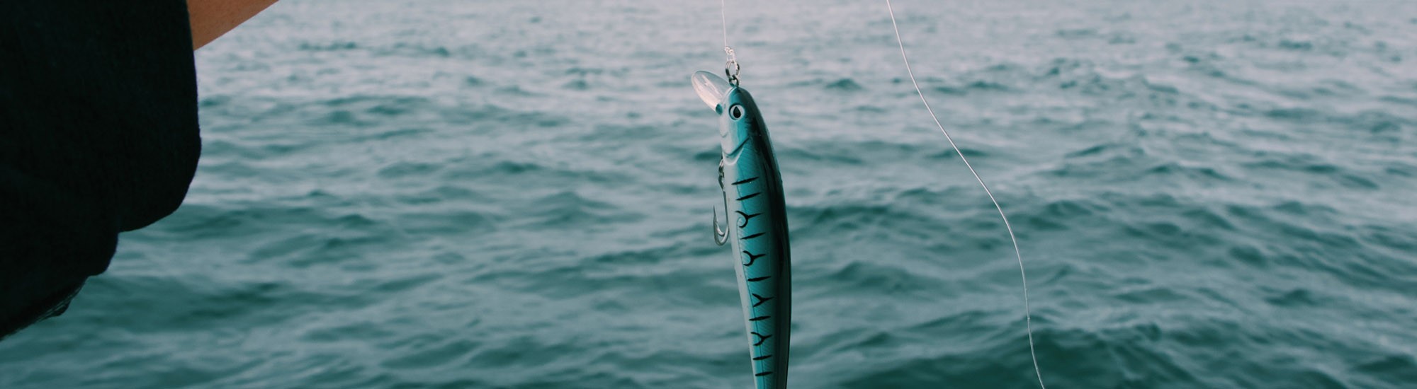 La pesca del Black Bass es una modalidad de pesca de las más emocionantes. Desde nuestra tienda online te ofrecemos los mejores productos